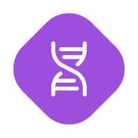 DAO Discovery